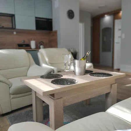 Downtown Torunska Apartment