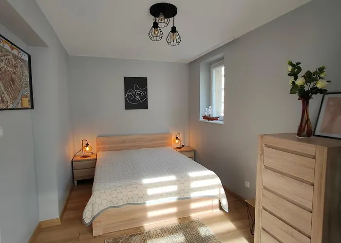 Downtown Torunska 公寓 *