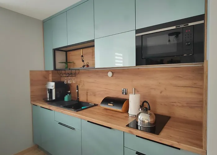 公寓 Downtown Torunska