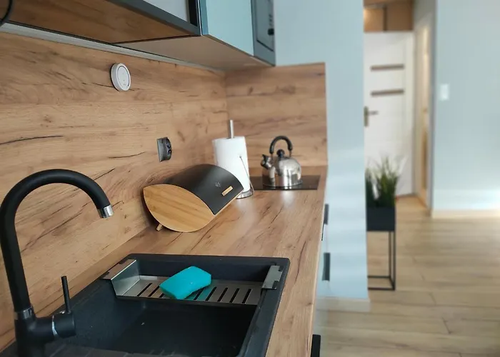 Downtown Torunska 公寓